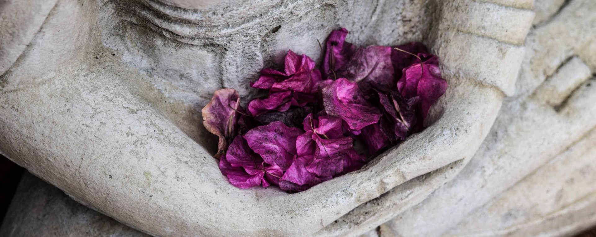 Yoga et Yogathérapie